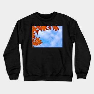 Autumn Maple Leaves Framing the Cloudy Sky Crewneck Sweatshirt